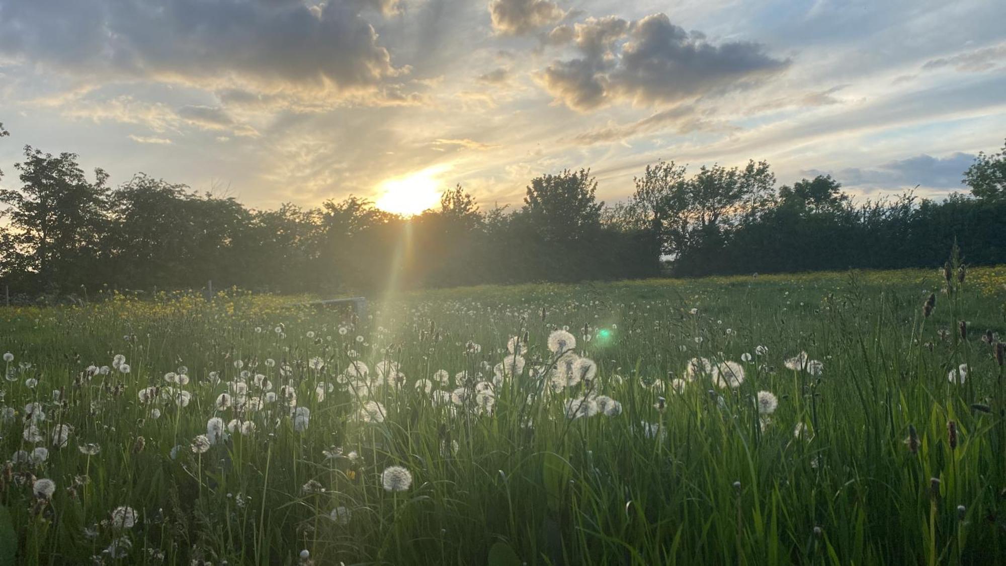 Hotel Wellbet Farm Swinderby Zewnętrze zdjęcie