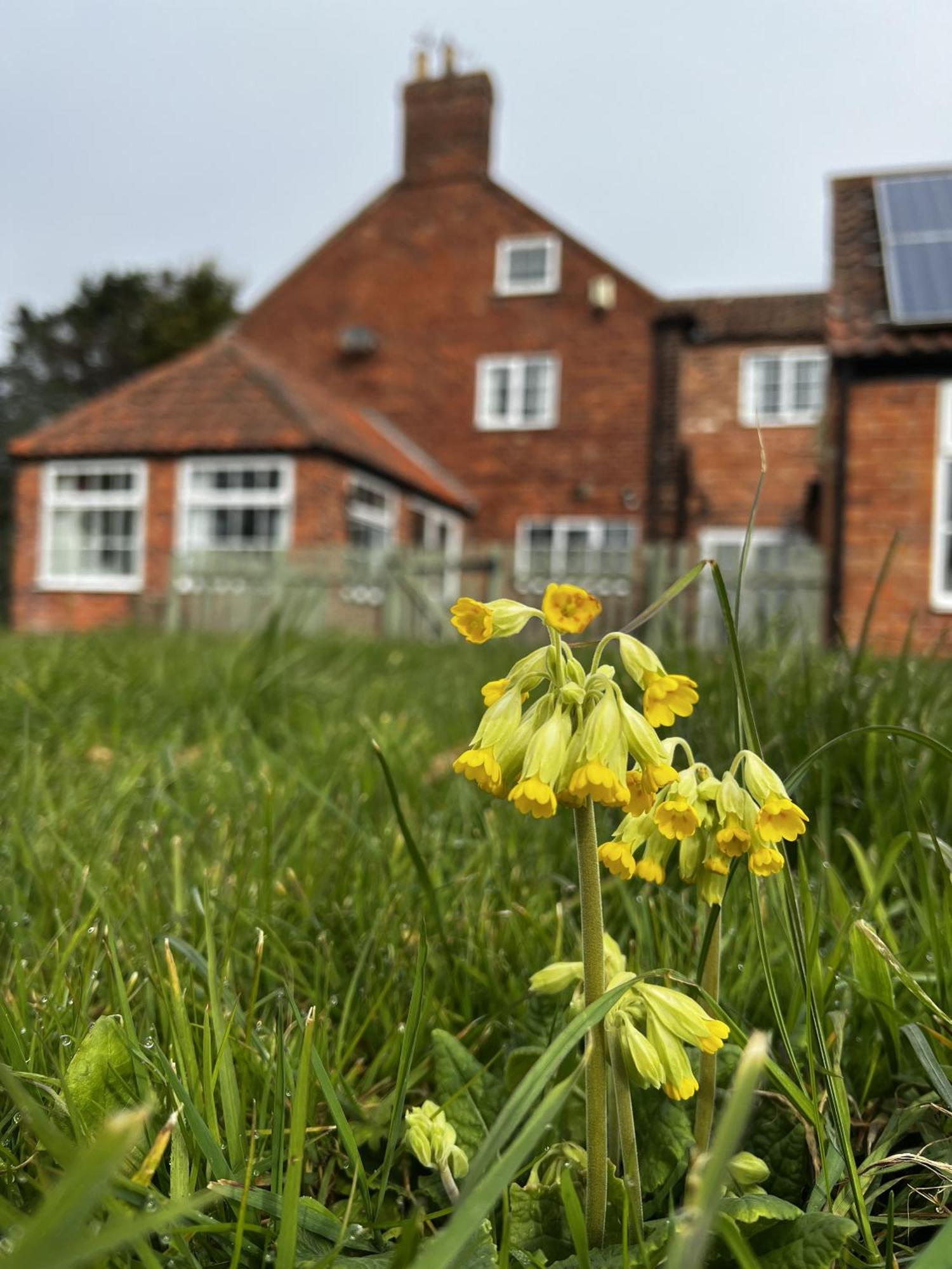 Hotel Wellbet Farm Swinderby Zewnętrze zdjęcie