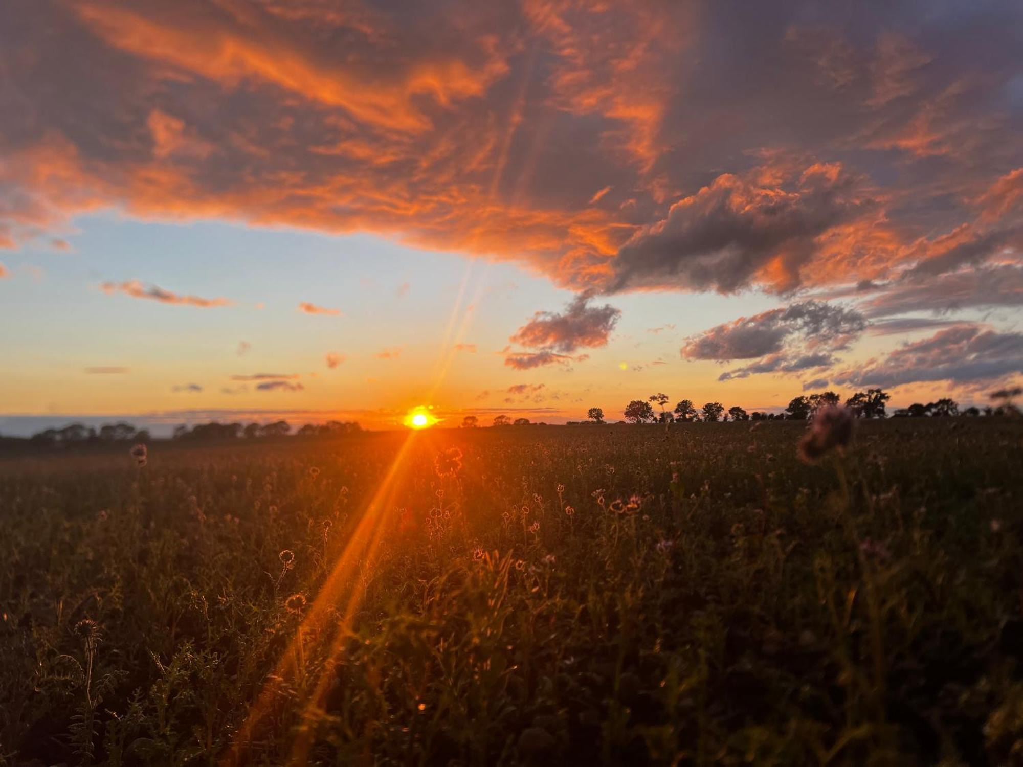 Hotel Wellbet Farm Swinderby Zewnętrze zdjęcie