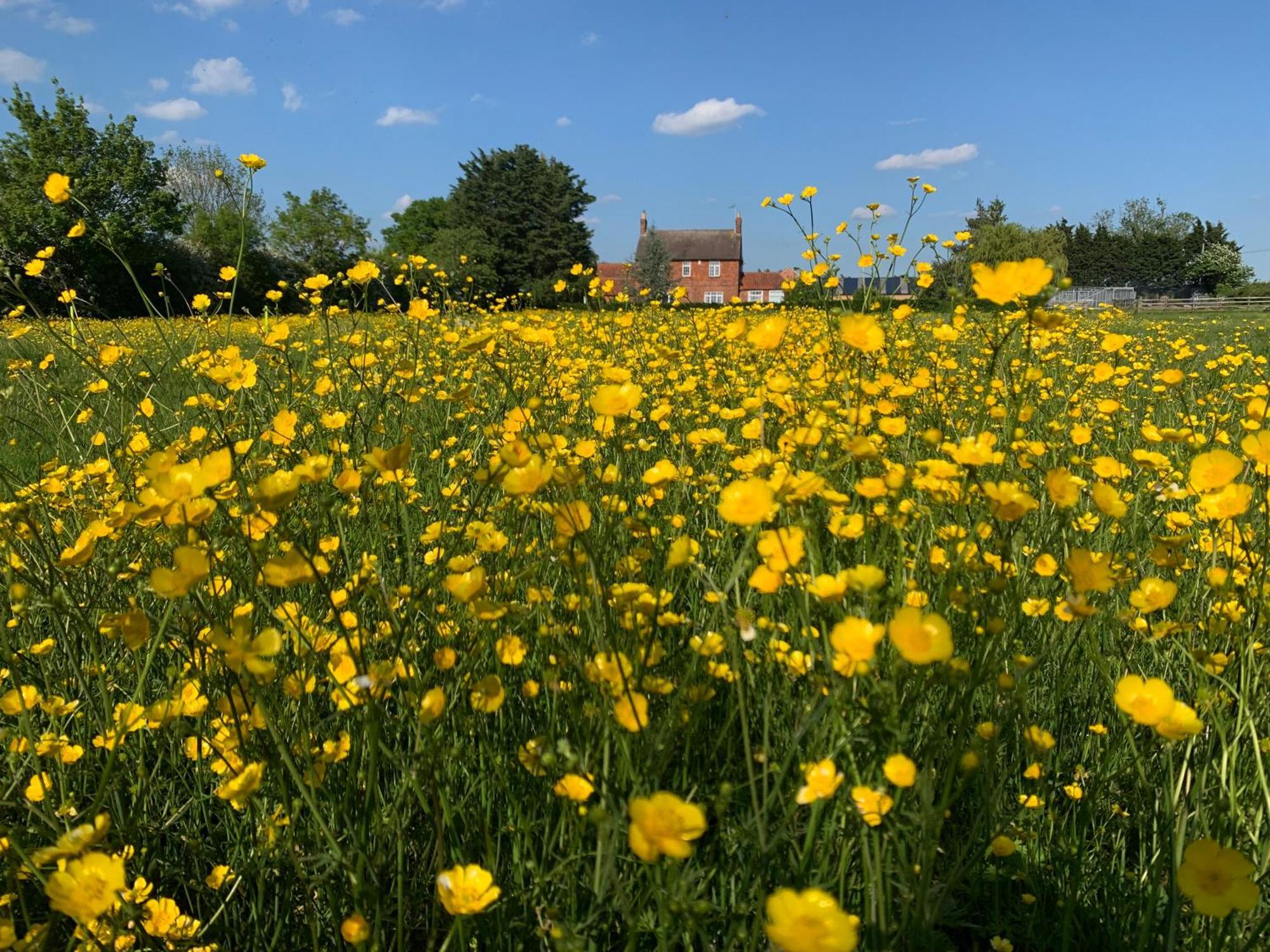 Hotel Wellbet Farm Swinderby Zewnętrze zdjęcie