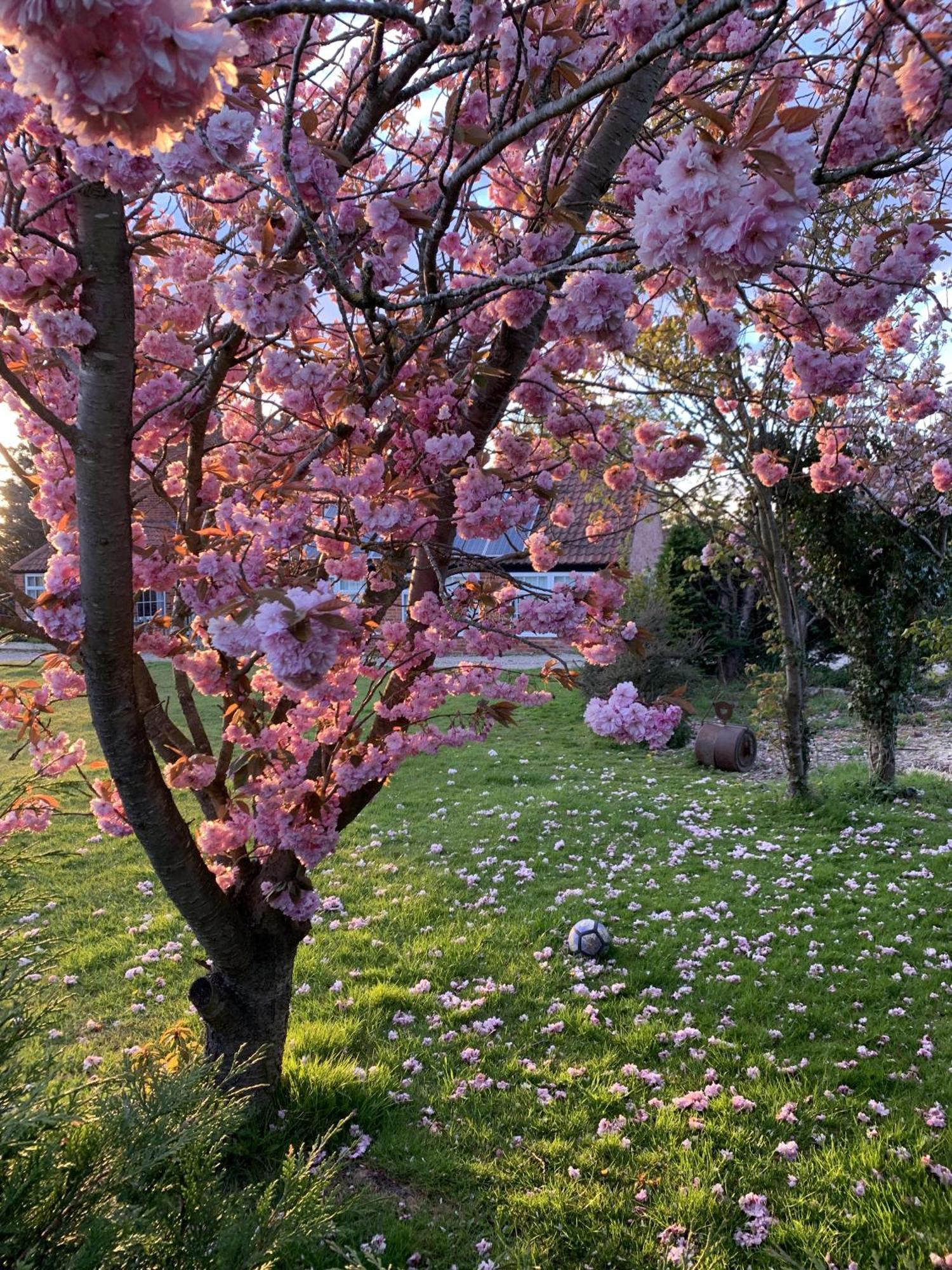 Hotel Wellbet Farm Swinderby Zewnętrze zdjęcie